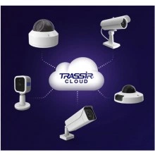 TRASSIR Cloud RTSP