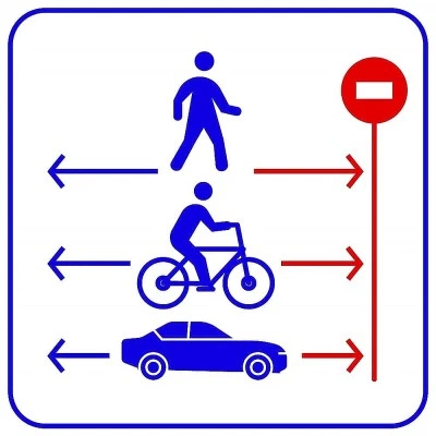 TRASSIR Direction Detector