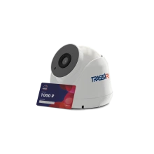 TRASSIR Комплект TR-W2S1 + Облако 1000